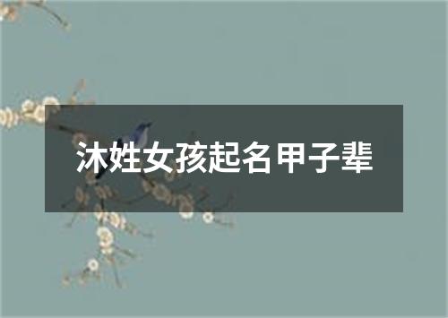 沐姓女孩起名甲子辈