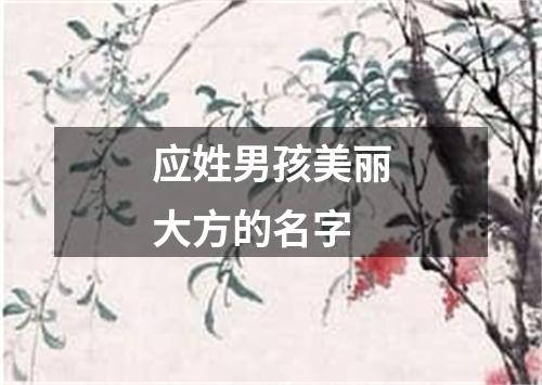 应姓男孩美丽大方的名字