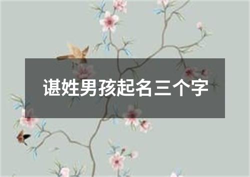 谌姓男孩起名三个字