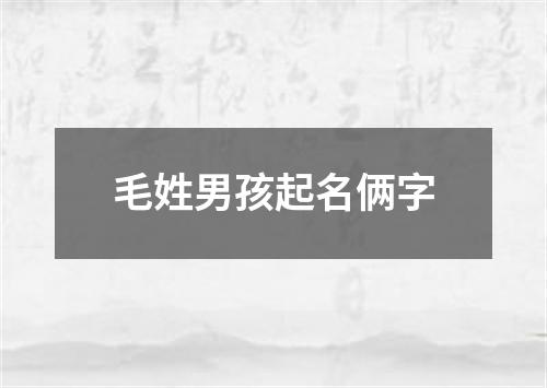 毛姓男孩起名俩字