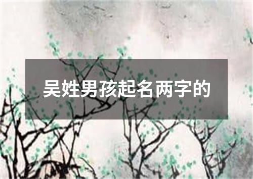 吴姓男孩起名两字的