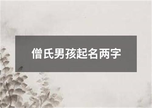 僧氏男孩起名两字