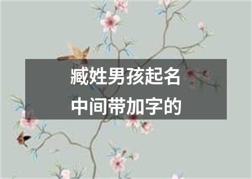 臧姓男孩起名中间带加字的