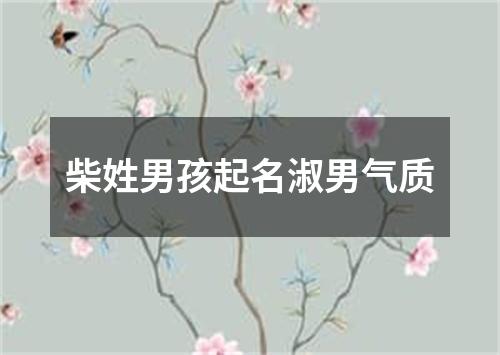 柴姓男孩起名淑男气质