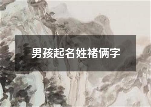 男孩起名姓褚俩字