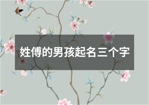 姓傅的男孩起名三个字