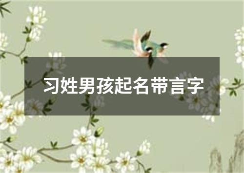 习姓男孩起名带言字