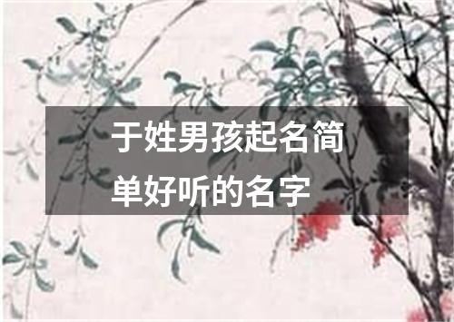 于姓男孩起名简单好听的名字