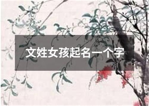 文姓女孩起名一个字