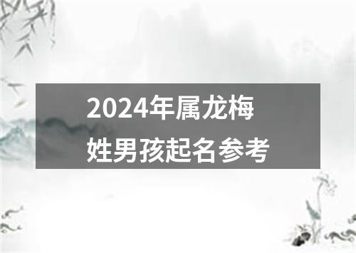 2024年属龙梅姓男孩起名参考