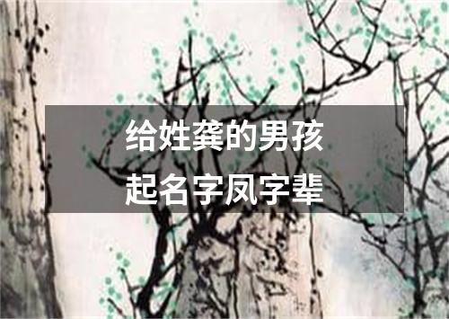 给姓龚的男孩起名字凤字辈