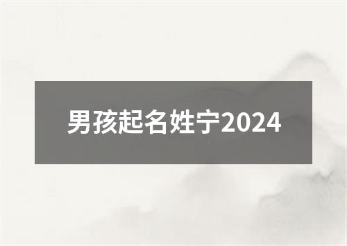 男孩起名姓宁2024