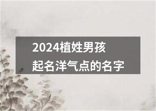 2024植姓男孩起名洋气点的名字