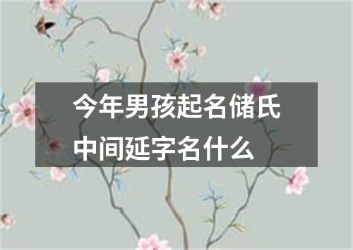 今年男孩起名储氏中间延字名什么