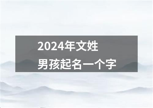 2024年文姓男孩起名一个字