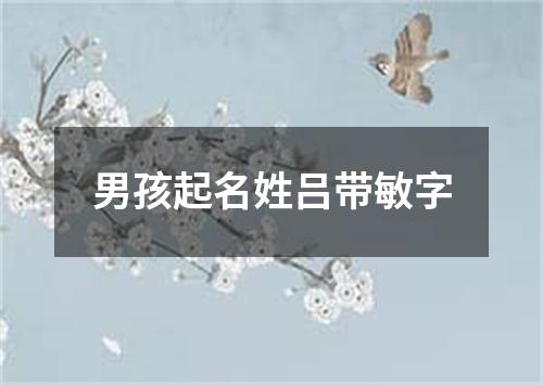 男孩起名姓吕带敏字