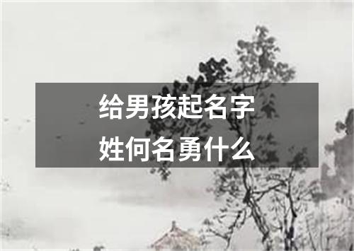 给男孩起名字姓何名勇什么