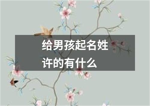 给男孩起名姓许的有什么