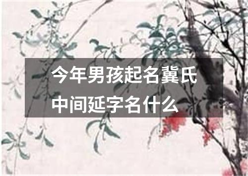 今年男孩起名冀氏中间延字名什么