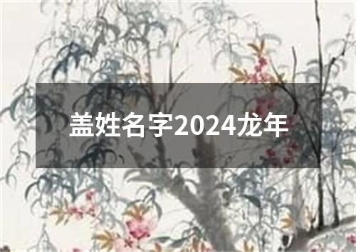 盖姓名字2024龙年