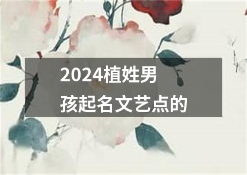 2024植姓男孩起名文艺点的