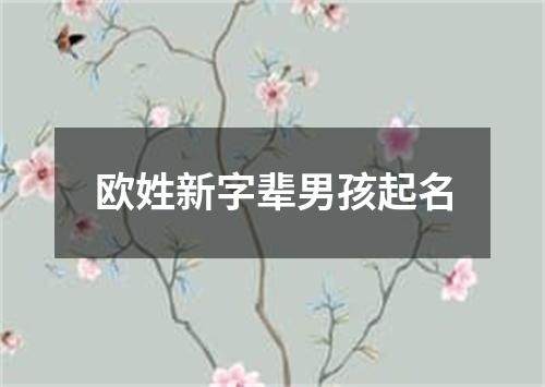 欧姓新字辈男孩起名