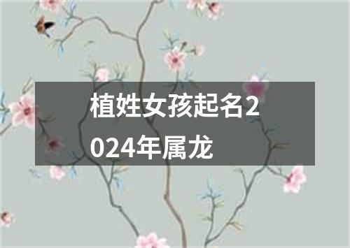 植姓女孩起名2024年属龙