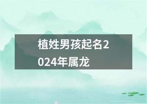 植姓男孩起名2024年属龙