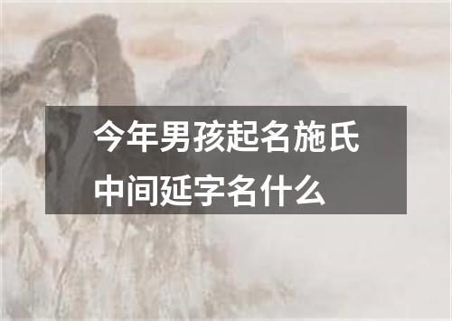 今年男孩起名施氏中间延字名什么