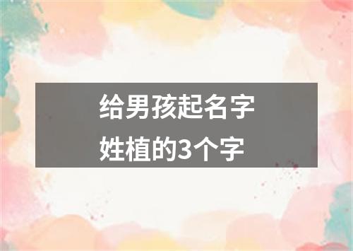 给男孩起名字姓植的3个字