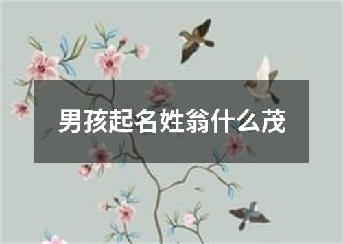 男孩起名姓翁什么茂