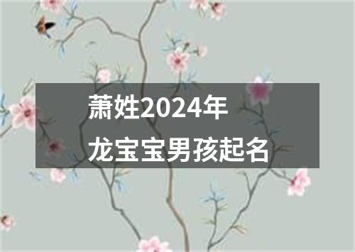 萧姓2024年龙宝宝男孩起名