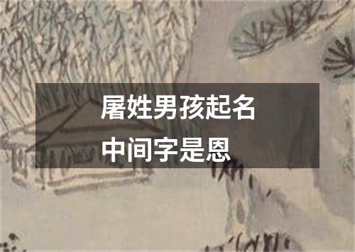 屠姓男孩起名中间字是恩