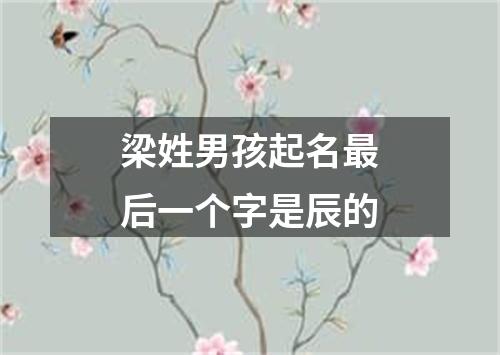 梁姓男孩起名最后一个字是辰的