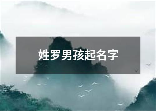 姓罗男孩起名字