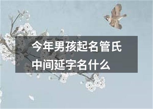 今年男孩起名管氏中间延字名什么