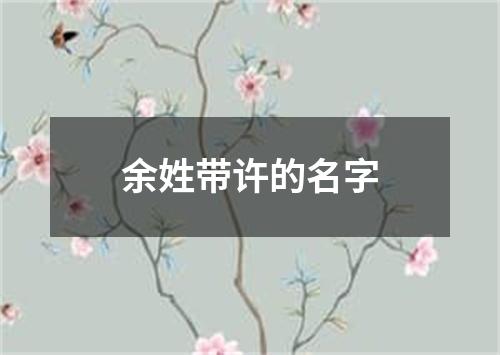 余姓带许的名字