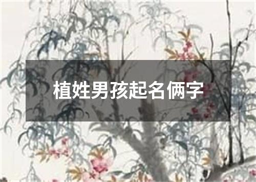 植姓男孩起名俩字