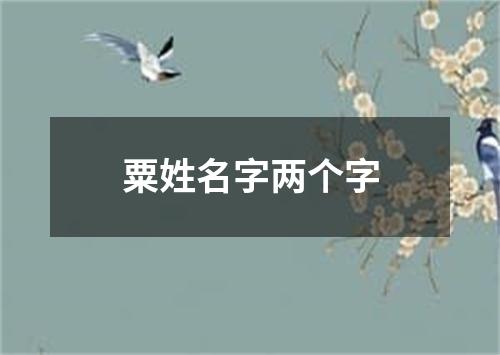 粟姓名字两个字