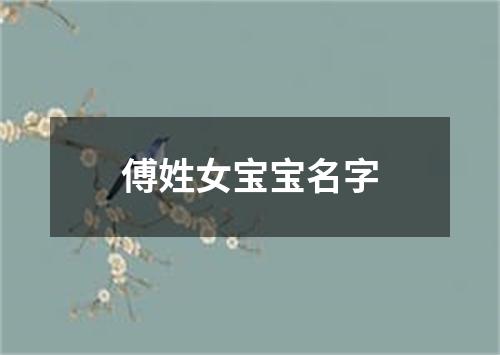 傅姓女宝宝名字