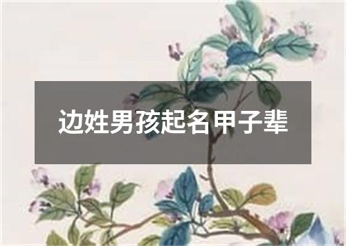 边姓男孩起名甲子辈