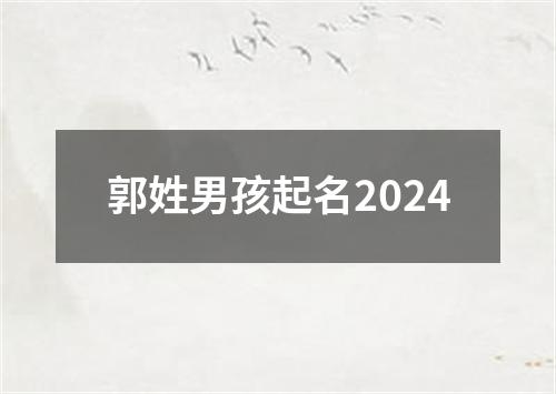 郭姓男孩起名2024