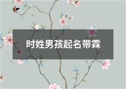 时姓男孩起名带霖