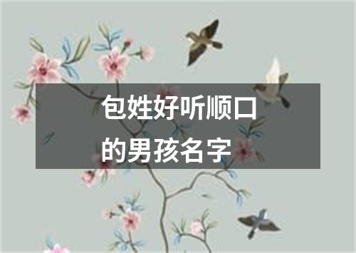 包姓好听顺口的男孩名字