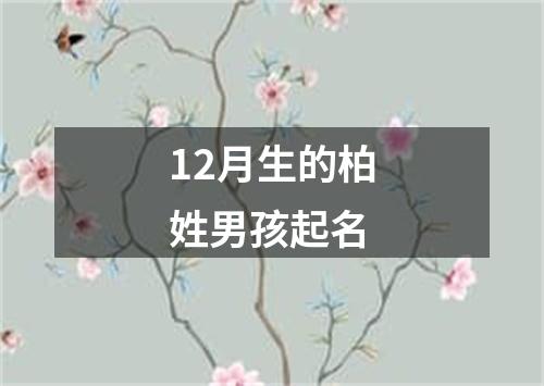 12月生的柏姓男孩起名