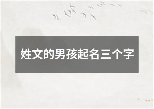 姓文的男孩起名三个字