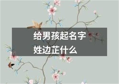 给男孩起名字姓边芷什么