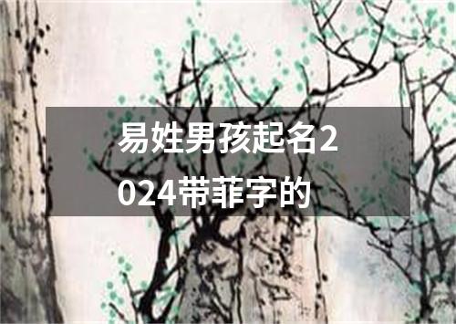 易姓男孩起名2024带菲字的