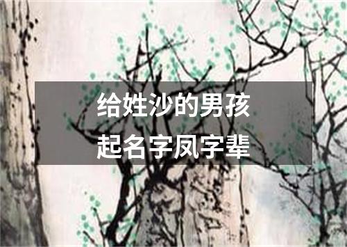 给姓沙的男孩起名字凤字辈