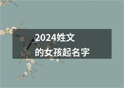 2024姓文的女孩起名字